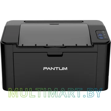 Принтер Pantum P2500W картинка 2